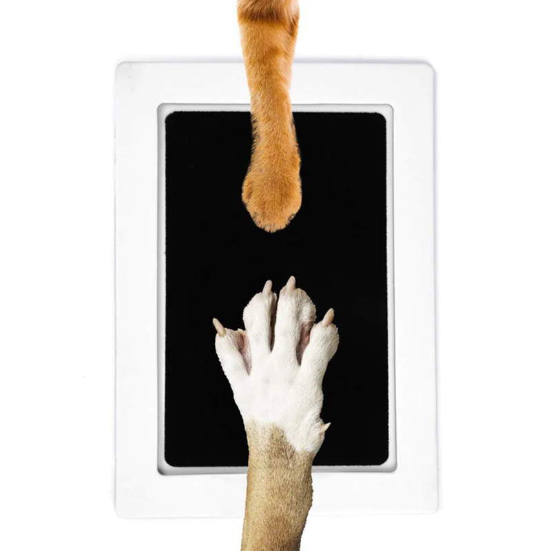 Cat Dog Paw Print Ink Kit Pad  – Baby Clothing Wash Bewertung und Preis
